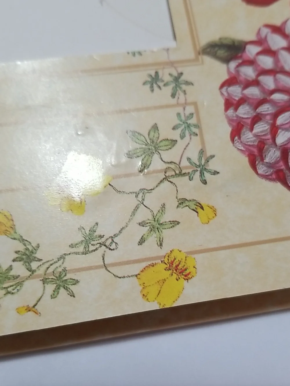 Vintage Classic Floral Photograph Album And Frame Set - Picture 6 of 13